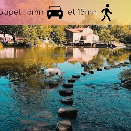 La Dilettante - Petit Déjeuner Inclus - 10mn Du Parc *