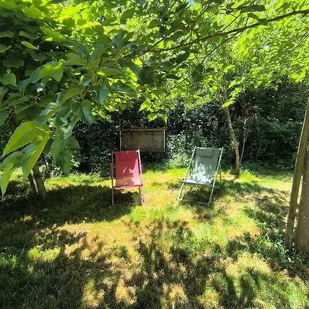 La Dilettante Studio - Petit Dejeuner Inclus - 10Mn Du Parc